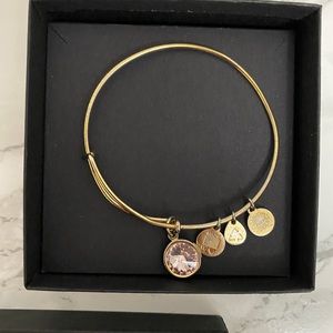 Alex And Ani Birthstone Charm Bracelet
